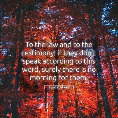 Picture 05 - Isaiah 8:20 WEB - To the law and to the testimony! if they don't - Bible Verse Picture