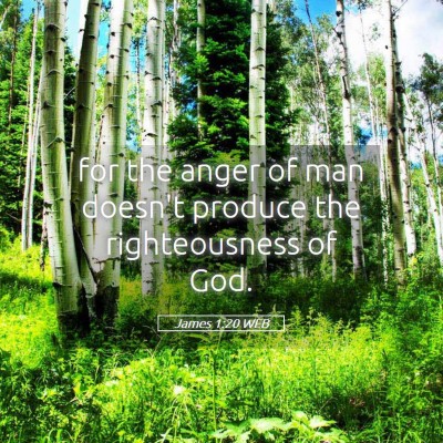 Picture 05 - James 1:20 WEB - for the anger of man doesn't produce the - Bible Verse Picture