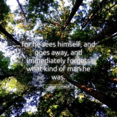 Picture 05 - James 1:24 WEB - for he sees himself, and goes away, and - Bible Verse Picture
