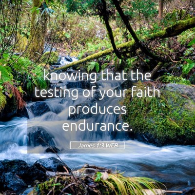 Picture 05 - James 1:3 WEB - knowing that the testing of your faith produces - Bible Verse Picture