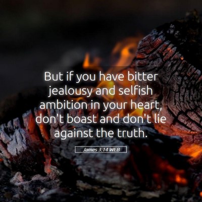 Picture 05 - James 3:14 WEB - But if you have bitter jealousy and selfish - Bible Verse Picture