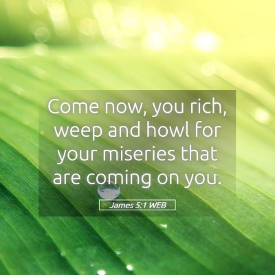 Picture 05 - James 5:1 WEB - Come now, you rich, weep and howl for your - Bible Verse Picture