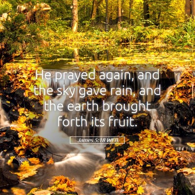 Picture 05 - James 5:18 WEB - He prayed again, and the sky gave rain, and the - Bible Verse Picture