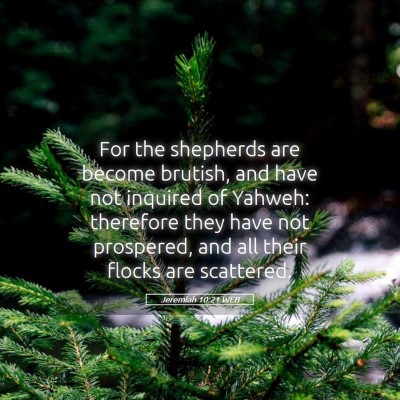 Picture 05 - Jeremiah 10:21 WEB - For the shepherds are become brutish, and have - Bible Verse Picture