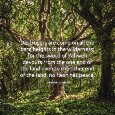 Picture 05 - Jeremiah 12:12 WEB - Destroyers are come on all the bare heights in - Bible Verse Picture