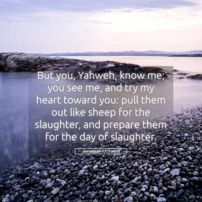 Picture 05 - Jeremiah 12:3 WEB - But you, Yahweh, know me; you see me, and try my - Bible Verse Picture