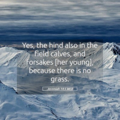 Picture 05 - Jeremiah 14:5 WEB - Yes, the hind also in the field calves, and - Bible Verse Picture