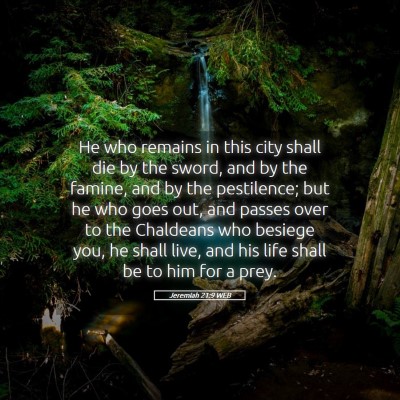 Picture 05 - Jeremiah 21:9 WEB - He who remains in this city shall die by the - Bible Verse Picture