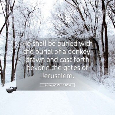 Picture 05 - Jeremiah 22:19 WEB - He shall be buried with the burial of a donkey, - Bible Verse Picture