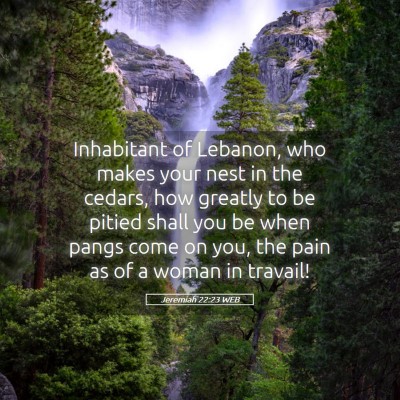 Picture 05 - Jeremiah 22:23 WEB - Inhabitant of Lebanon, who makes your nest in the - Bible Verse Picture