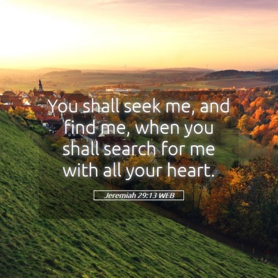 Picture 05 - Jeremiah 29:13 WEB - You shall seek me, and find me, when you shall - Bible Verse Picture