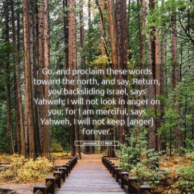 Picture 05 - Jeremiah 3:12 WEB - Go, and proclaim these words toward the north, - Bible Verse Picture