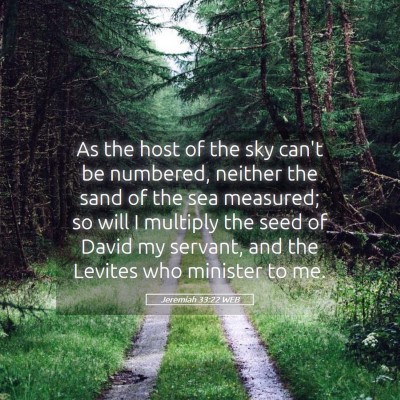 Picture 05 - Jeremiah 33:22 WEB - As the host of the sky can't be numbered, neither - Bible Verse Picture