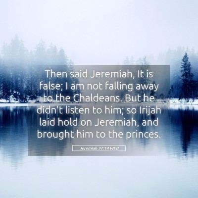 Picture 05 - Jeremiah 37:14 WEB - Then said Jeremiah, It is false; I am not falling - Bible Verse Picture