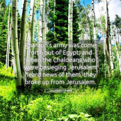 Picture 05 - Jeremiah 37:5 WEB - Pharaoh's army was come forth out of Egypt; and - Bible Verse Picture