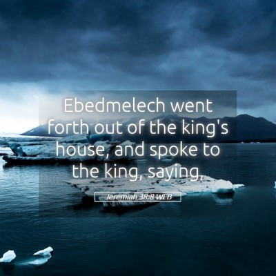 Picture 05 - Jeremiah 38:8 WEB - Ebedmelech went forth out of the king's house, - Bible Verse Picture