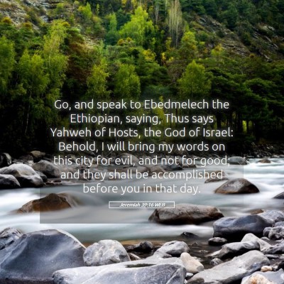 Picture 05 - Jeremiah 39:16 WEB - Go, and speak to Ebedmelech the Ethiopian, - Bible Verse Picture