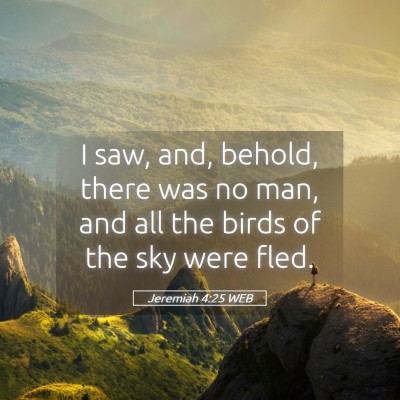 Picture 05 - Jeremiah 4:25 WEB - I saw, and, behold, there was no man, and all the - Bible Verse Picture