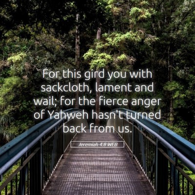 Picture 05 - Jeremiah 4:8 WEB - For this gird you with sackcloth, lament and - Bible Verse Picture