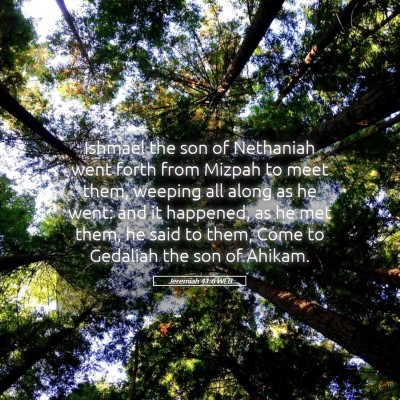 Picture 05 - Jeremiah 41:6 WEB - Ishmael the son of Nethaniah went forth from - Bible Verse Picture