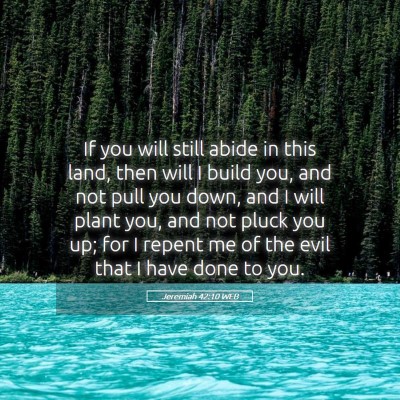 Picture 05 - Jeremiah 42:10 WEB - If you will still abide in this land, then will I - Bible Verse Picture