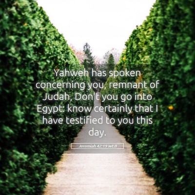 Picture 05 - Jeremiah 42:19 WEB - Yahweh has spoken concerning you, remnant of - Bible Verse Picture