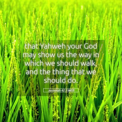 Picture 05 - Jeremiah 42:3 WEB - that Yahweh your God may show us the way in which - Bible Verse Picture