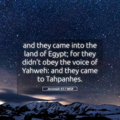 Picture 05 - Jeremiah 43:7 WEB - and they came into the land of Egypt; for they - Bible Verse Picture