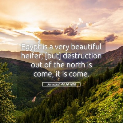Picture 05 - Jeremiah 46:20 WEB - Egypt is a very beautiful heifer; [but] - Bible Verse Picture
