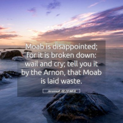 Picture 05 - Jeremiah 48:20 WEB - Moab is disappointed; for it is broken down: wail - Bible Verse Picture