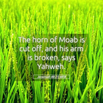 Picture 05 - Jeremiah 48:25 WEB - The horn of Moab is cut off, and his arm is - Bible Verse Picture
