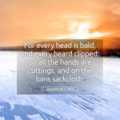 Picture 05 - Jeremiah 48:37 WEB - For every head is bald, and every beard clipped: - Bible Verse Picture