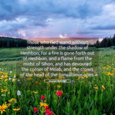 Picture 05 - Jeremiah 48:45 WEB - Those who fled stand without strength under the - Bible Verse Picture