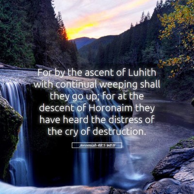 Picture 05 - Jeremiah 48:5 WEB - For by the ascent of Luhith with continual - Bible Verse Picture