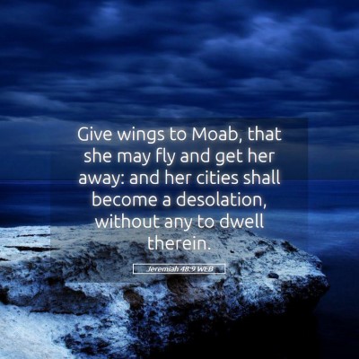 Picture 05 - Jeremiah 48:9 WEB - Give wings to Moab, that she may fly and get her - Bible Verse Picture