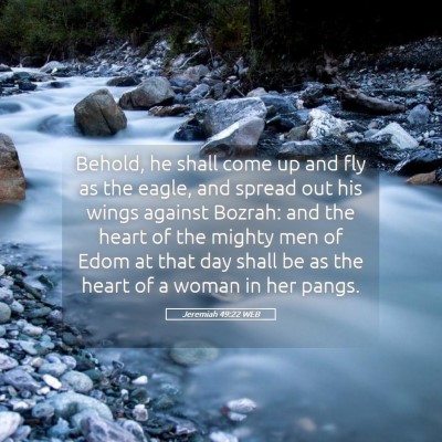 Picture 05 - Jeremiah 49:22 WEB - Behold, he shall come up and fly as the eagle, - Bible Verse Picture