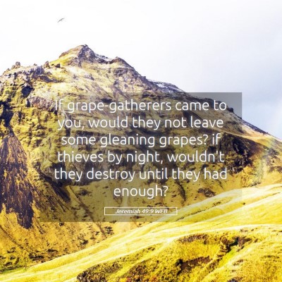 Picture 05 - Jeremiah 49:9 WEB - If grape-gatherers came to you, would they not - Bible Verse Picture