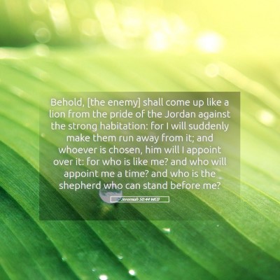 Picture 05 - Jeremiah 50:44 WEB - Behold, [the enemy] shall come up like a lion - Bible Verse Picture