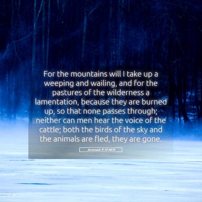 Picture 05 - Jeremiah 9:10 WEB - For the mountains will I take up a weeping and - Bible Verse Picture