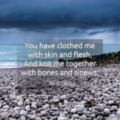 Picture 05 - Job 10:11 WEB - You have clothed me with skin and flesh, And knit - Bible Verse Picture