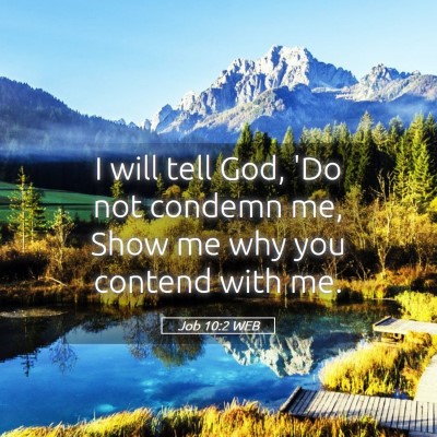 Picture 05 - Job 10:2 WEB - I will tell God, 'Do not condemn me, Show me why - Bible Verse Picture