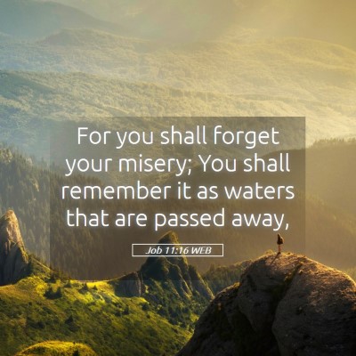 Picture 05 - Job 11:16 WEB - For you shall forget your misery; You shall - Bible Verse Picture