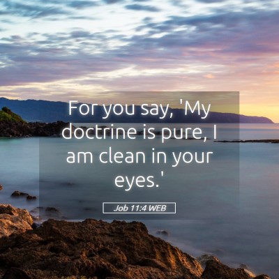 Picture 05 - Job 11:4 WEB - For you say, 'My doctrine is pure, I am clean in - Bible Verse Picture