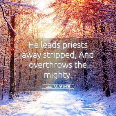Picture 05 - Job 12:19 WEB - He leads priests away stripped, And overthrows - Bible Verse Picture