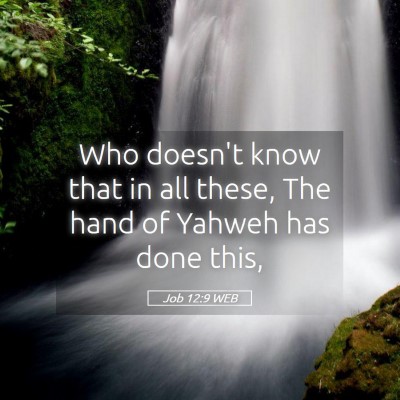 Picture 05 - Job 12:9 WEB - Who doesn't know that in all these, The hand of - Bible Verse Picture