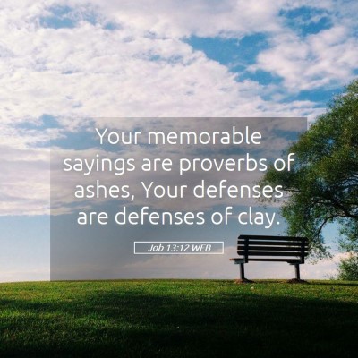 Picture 05 - Job 13:12 WEB - Your memorable sayings are proverbs of ashes, - Bible Verse Picture