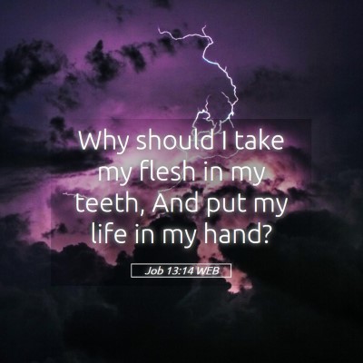 Picture 05 - Job 13:14 WEB - Why should I take my flesh in my teeth, And put - Bible Verse Picture