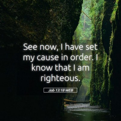 Picture 05 - Job 13:18 WEB - See now, I have set my cause in order. I know - Bible Verse Picture