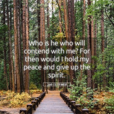Picture 05 - Job 13:19 WEB - Who is he who will contend with me? For then - Bible Verse Picture