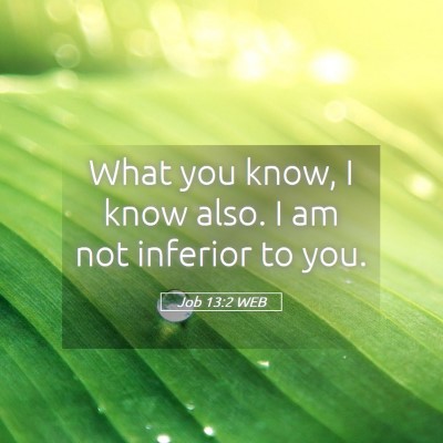 Picture 05 - Job 13:2 WEB - What you know, I know also. I am not inferior to - Bible Verse Picture